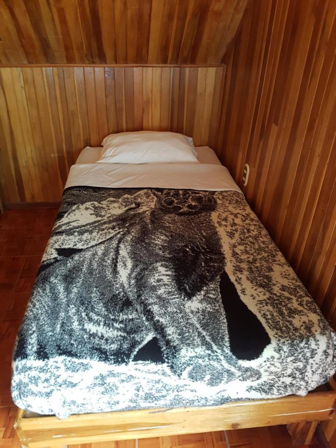 Hostel Monteverde Backpackers Екстер'єр фото